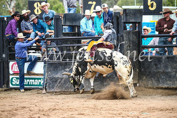 CoonambleRodeoCampdraftSun_2921