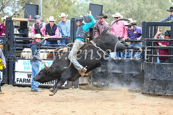 CoonambleRodeoCampdraftSun_2881