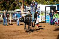 CoonambleRodeoCampdraftSun_1844