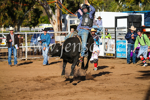 CoonambleRodeoCampdraftSun_1844