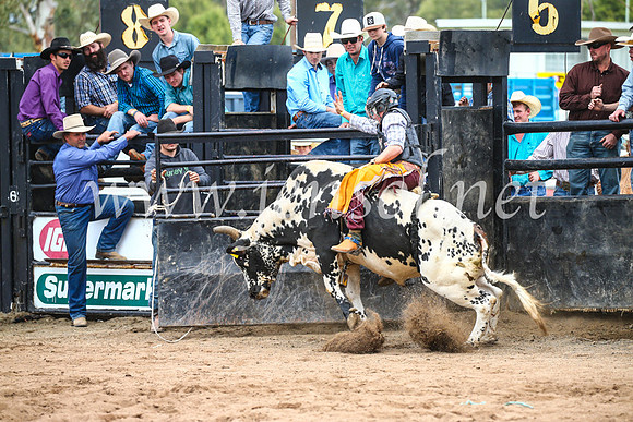 CoonambleRodeoCampdraftSun_2920