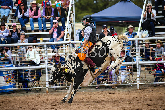 CoonambleRodeoCampdraftSun_2961