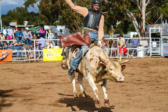 CoonambleRodeoCampdraftSun_2752