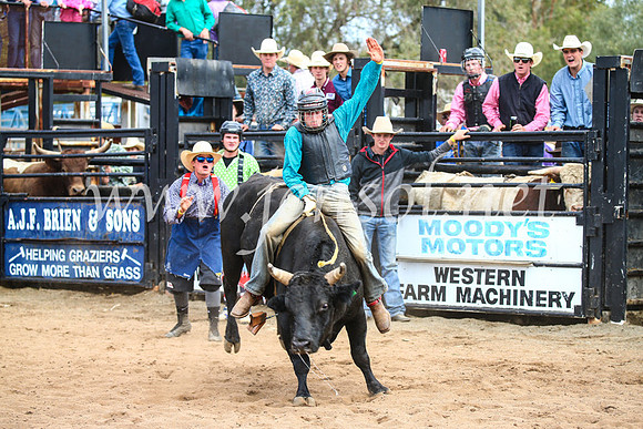CoonambleRodeoCampdraftSun_2885