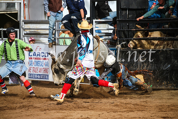 CoonambleRodeoCampdraftSun_2686