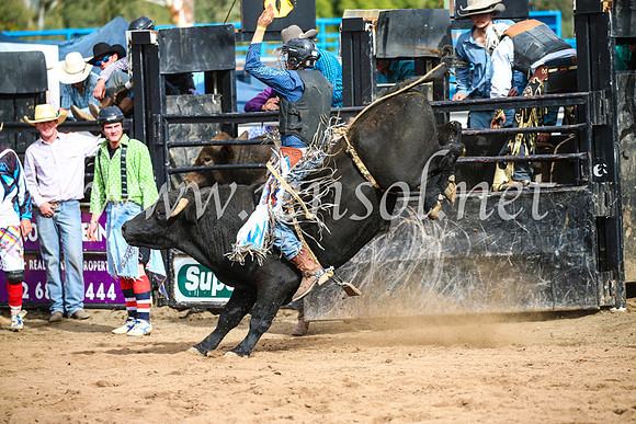 CoonambleRodeoCampdraftSun_2817