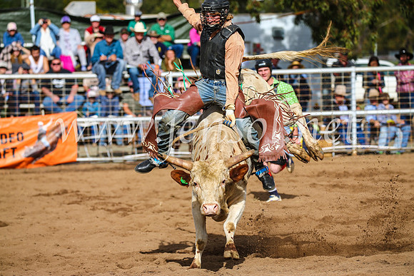 CoonambleRodeoCampdraftSun_2742