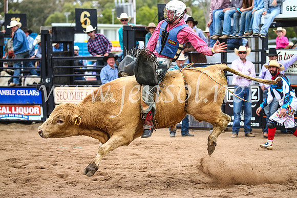 CoonambleRodeoCampdraftSun_2974
