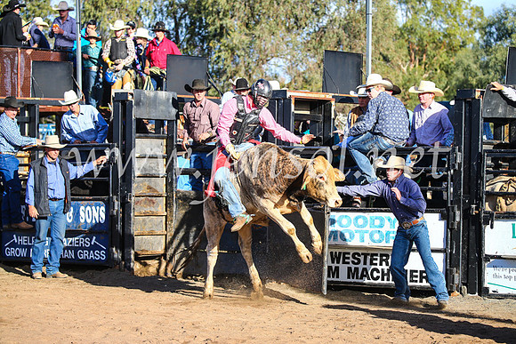 CoonambleRodeoCampdraftSun_1818