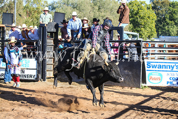 CoonambleRodeoCampdraftSun_2009