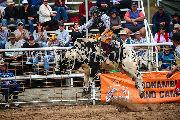 CoonambleRodeoCampdraftSun_2956