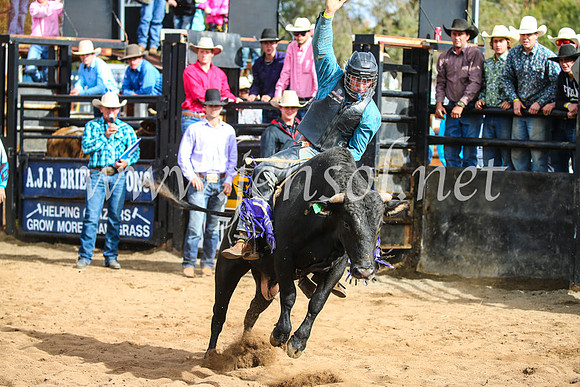 CoonambleRodeoCampdraftSun_2781