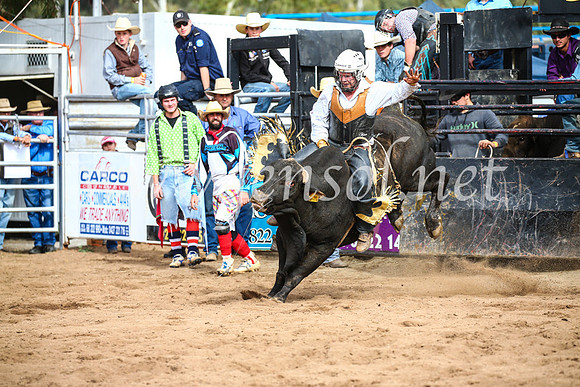 CoonambleRodeoCampdraftSun_2832