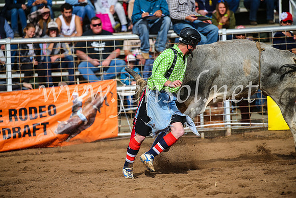 CoonambleRodeoCampdraftSun_2728