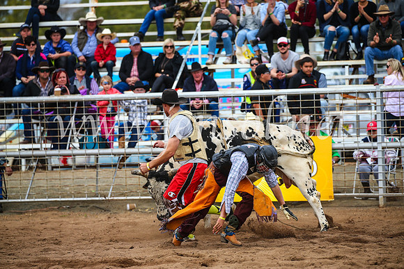 CoonambleRodeoCampdraftSun_2973