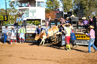 CoonambleRodeoCampdraftSun_1798