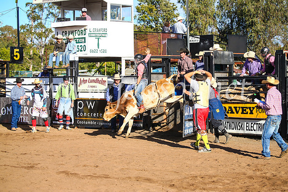 CoonambleRodeoCampdraftSun_1798