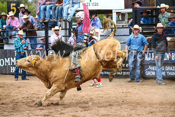 CoonambleRodeoCampdraftSun_2988