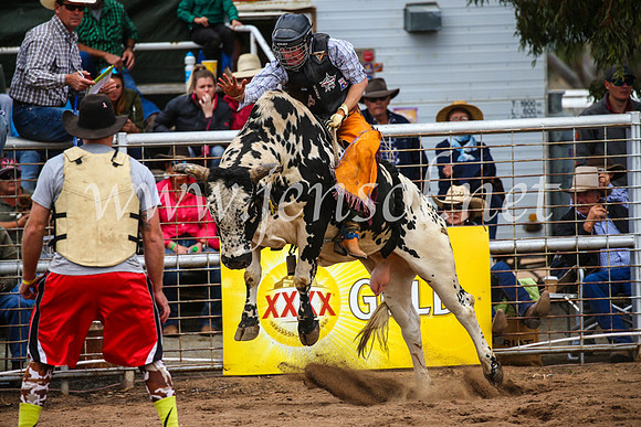 CoonambleRodeoCampdraftSun_2948