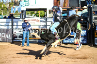 CoonambleRodeoCampdraftSun_1838