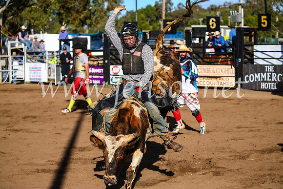 CoonambleRodeoCampdraftSun_1970