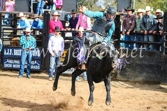 CoonambleRodeoCampdraftSun_2789