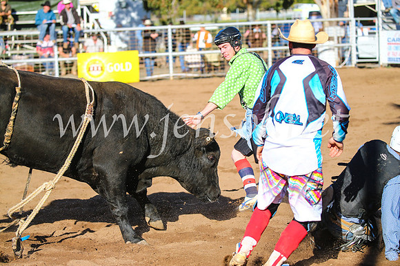 CoonambleRodeoCampdraftSun_2190