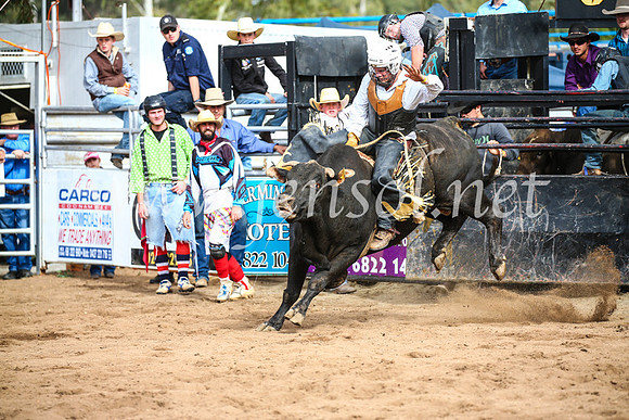 CoonambleRodeoCampdraftSun_2830