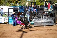 CoonambleRodeoCampdraftSun_1849