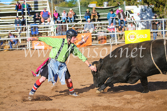 CoonambleRodeoCampdraftSun_2197