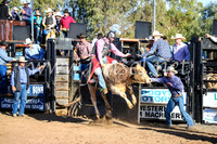 CoonambleRodeoCampdraftSun_1824