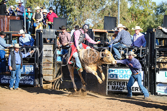 CoonambleRodeoCampdraftSun_1824
