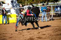 CoonambleRodeoCampdraftSun_1865