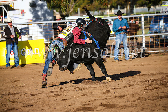 CoonambleRodeoCampdraftSun_1865