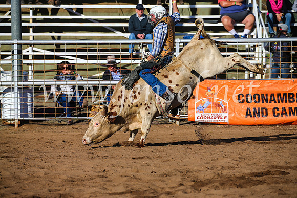CoonambleRodeoCampdraftSun_2077