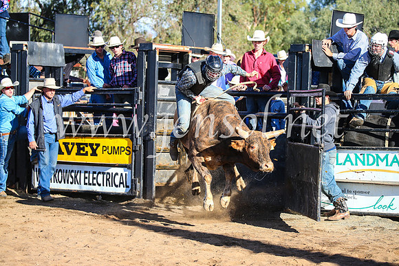 CoonambleRodeoCampdraftSun_2126
