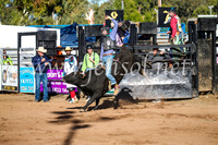 CoonambleRodeoCampdraftSun_1850