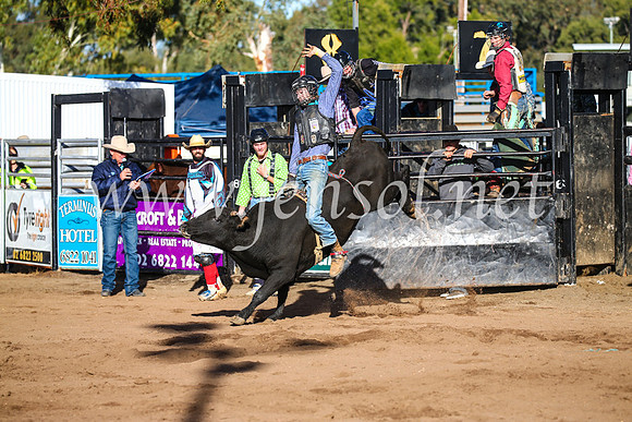 CoonambleRodeoCampdraftSun_1850