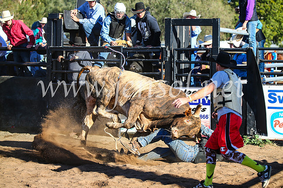 CoonambleRodeoCampdraftSun_2149