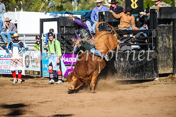CoonambleRodeoCampdraftSun_2208