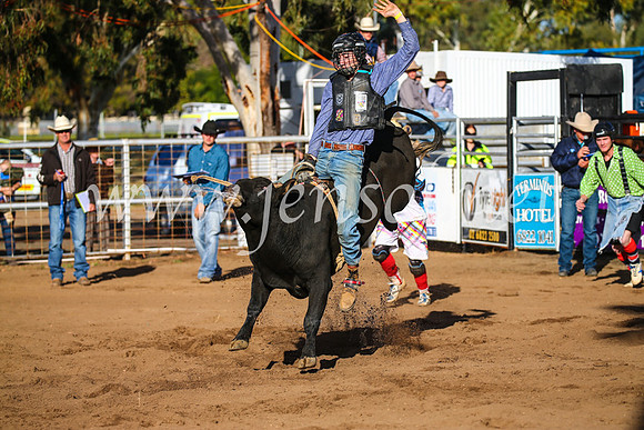 CoonambleRodeoCampdraftSun_1856