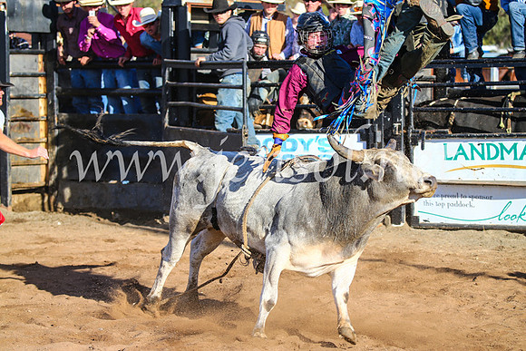 CoonambleRodeoCampdraftSun_1960
