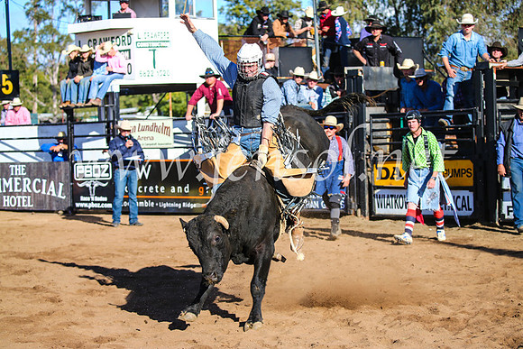CoonambleRodeoCampdraftSun_2172