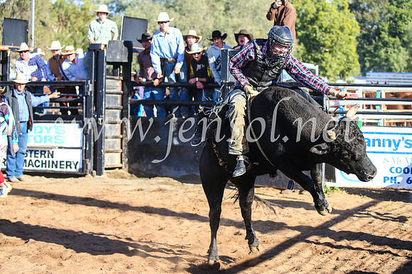 CoonambleRodeoCampdraftSun_2017