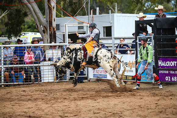 CoonambleRodeoCampdraftSun_2932