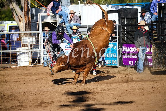 CoonambleRodeoCampdraftSun_2218