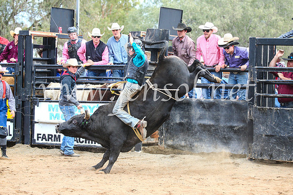 CoonambleRodeoCampdraftSun_2879
