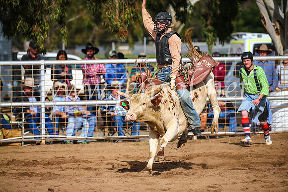 CoonambleRodeoCampdraftSun_2732