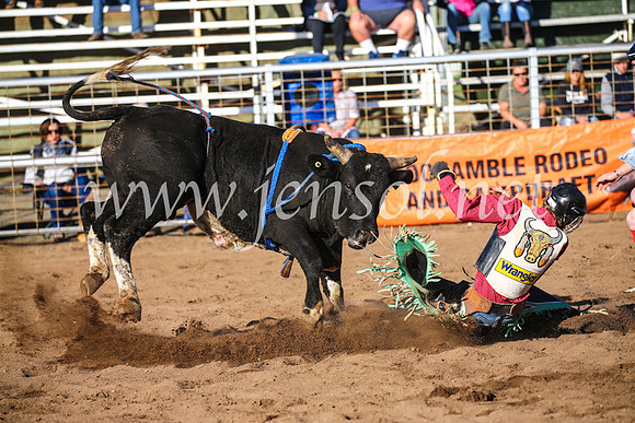 CoonambleRodeoCampdraftSun_1881
