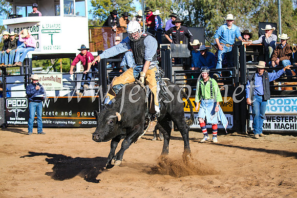 CoonambleRodeoCampdraftSun_2181